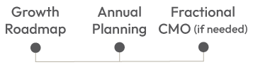 Engagement Timeline Timeline showing Growth Roadmap followed by annual planning and optional fractional CMO support.